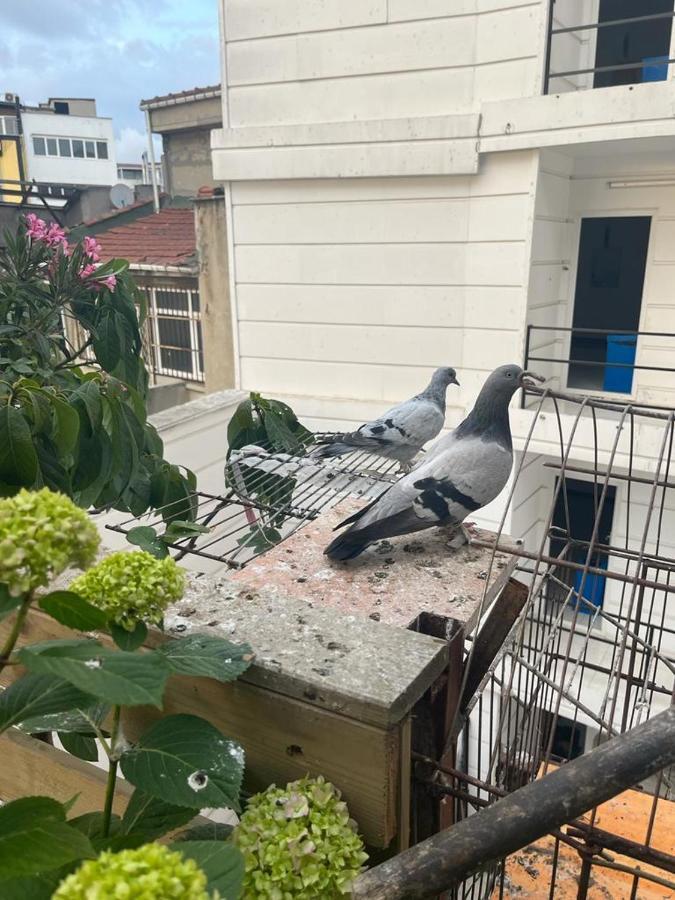 Central Apartment Kadikoy Terrace Bbq Close 2 Block Ferry Bull Metro Nighlife Istambul Exterior foto