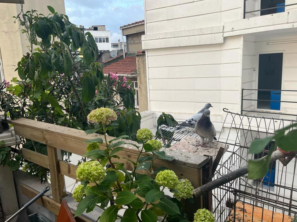 Central Apartment Kadikoy Terrace Bbq Close 2 Block Ferry Bull Metro Nighlife Istambul Exterior foto