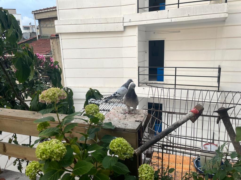Central Apartment Kadikoy Terrace Bbq Close 2 Block Ferry Bull Metro Nighlife Istambul Exterior foto